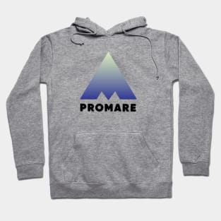 Promare logo gradient ver. Hoodie